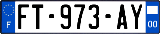 FT-973-AY