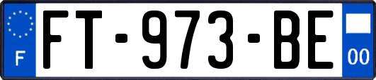 FT-973-BE