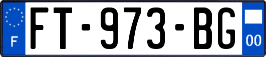FT-973-BG