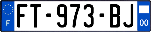 FT-973-BJ