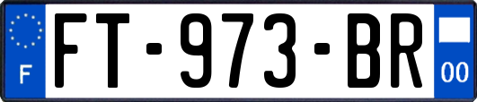 FT-973-BR