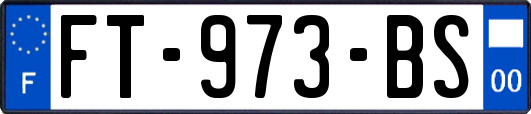 FT-973-BS