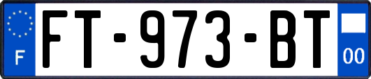 FT-973-BT