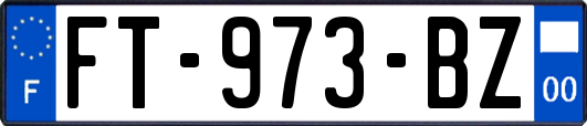 FT-973-BZ