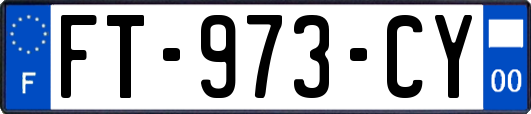 FT-973-CY