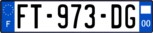 FT-973-DG