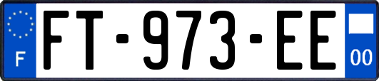 FT-973-EE