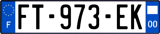 FT-973-EK