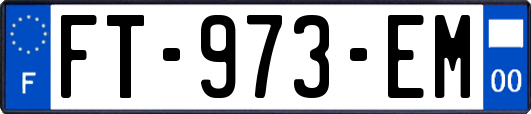 FT-973-EM