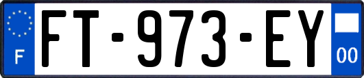 FT-973-EY