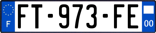 FT-973-FE