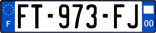 FT-973-FJ