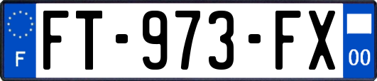 FT-973-FX