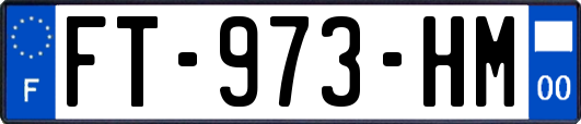 FT-973-HM
