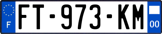 FT-973-KM