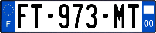 FT-973-MT