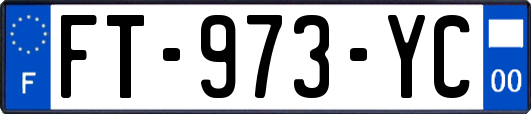 FT-973-YC