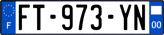 FT-973-YN