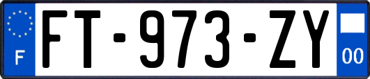 FT-973-ZY