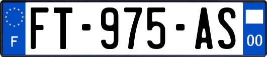 FT-975-AS