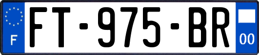 FT-975-BR