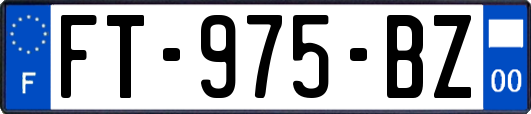 FT-975-BZ