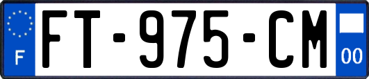 FT-975-CM