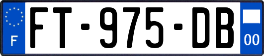 FT-975-DB