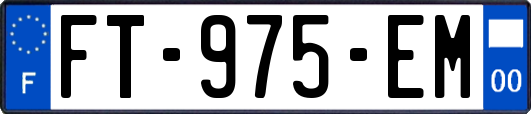 FT-975-EM
