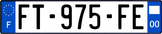 FT-975-FE