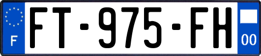 FT-975-FH