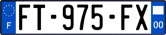 FT-975-FX