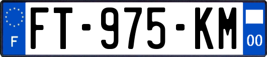 FT-975-KM