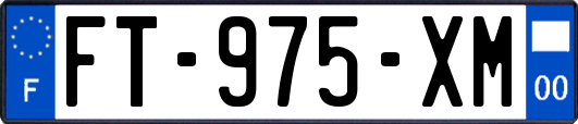 FT-975-XM