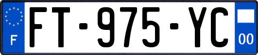 FT-975-YC
