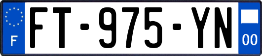 FT-975-YN