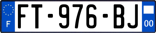 FT-976-BJ