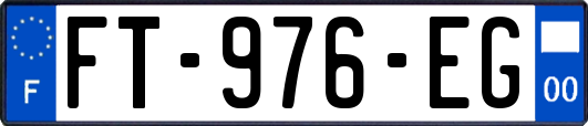 FT-976-EG
