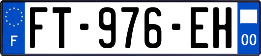 FT-976-EH