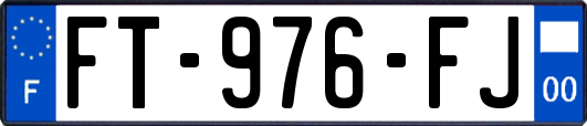 FT-976-FJ