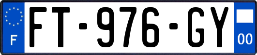 FT-976-GY
