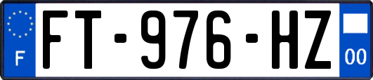 FT-976-HZ