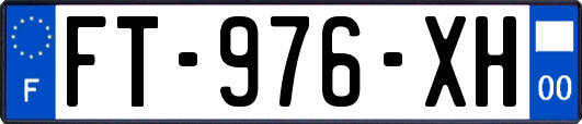 FT-976-XH