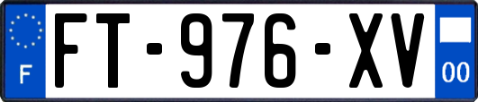 FT-976-XV