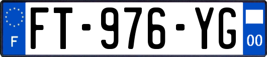 FT-976-YG