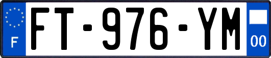 FT-976-YM