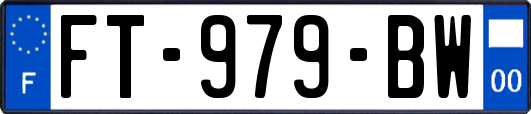 FT-979-BW