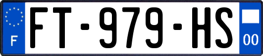 FT-979-HS