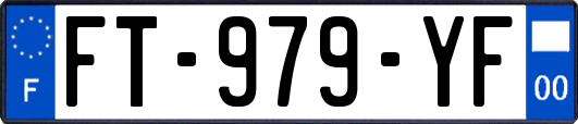 FT-979-YF