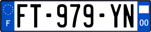 FT-979-YN